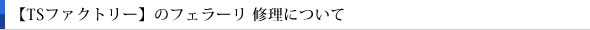 【TSファクトリー】のフェラーリ 修理について