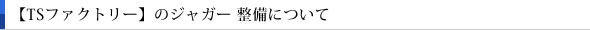 【TSファクトリー】のジャガー 整備について